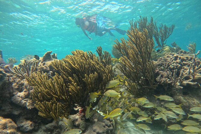 Snorkel at the Reef 2 HOURS Puerto Morelos National park - How much time do you really spend in the water?