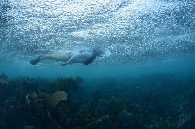 Snorkel, ATV, Zipline and Cenote Adventure from Cancun - The transfer and the long wait