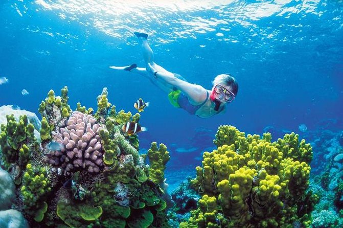 Snorkel, ATV, Zipline and Cenote Adventure from Cancun - The morning speedboat ride near Puerto Morelos