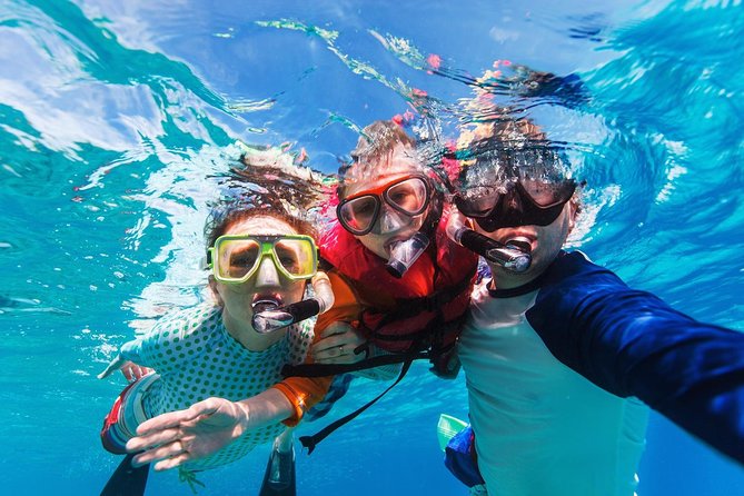 Snorkel in El Cielo Cozumel Reef with Lunch, Beach and Transport - Lunch, pool time, and El Cielito Beach