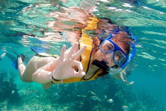 Snorkel in the second largest reef in the world Colorful tour in Puerto Morelos - Rules, cameras, and the photo question