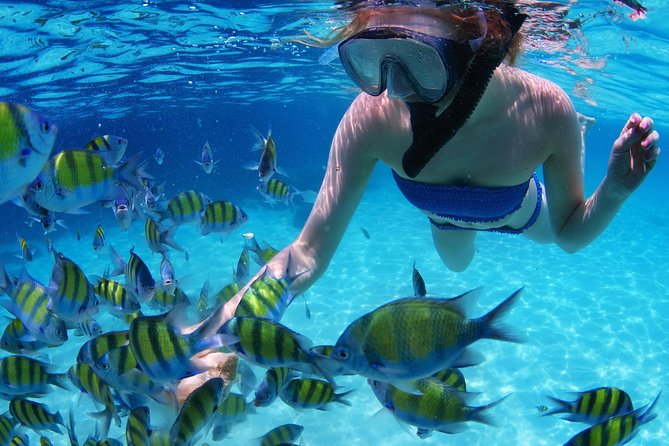 Snorkel in the second largest reef in the world Colorful tour in Puerto Morelos - A short walk through Puerto Morelos