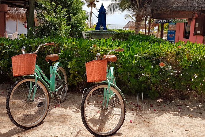 Snorkel in the turquoise Caribbean Sea in Puerto Morelos. Transport included - Is $44.25 a good value?