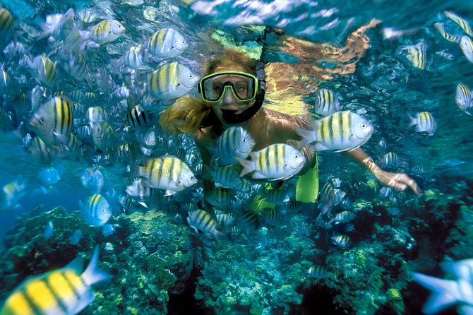 Snorkeling Adventure in Isla Mujeres - A short taste of Isla Mujeres