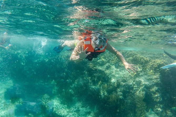 Snorkeling Adventure in Isla Mujeres - Checking in at Marina Albatros