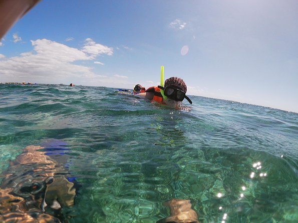 Snorkeling Adventure in Puerto Morelos Includes snack, Water and Round Trip. - Tacos, showers, and the tequila stop