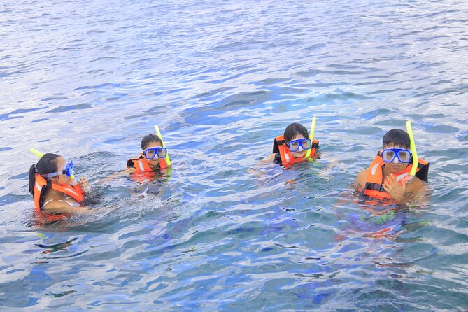 Snorkeling Adventure in Puerto Morelos Includes snack, Water and Round Trip. - Who should book this Puerto Morelos outing