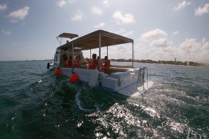 Snorkeling Adventure in Puerto Morelos - Getting from Cancun to the Puerto Morelos reef
