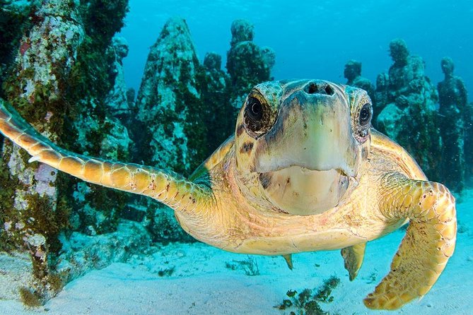 Snorkeling Experience in Cancun - Hands Underwater Museum - Four Cancun stops in just over two hours
