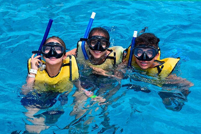 Snorkeling Experience in Cancun - Hands Underwater Museum - Transport is convenient, with a few confusing details