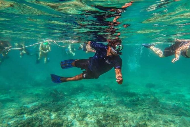 Snorkeling Experience in Cancun - Hands Underwater Museum - The Hands Underwater Museum is smaller than the name suggests