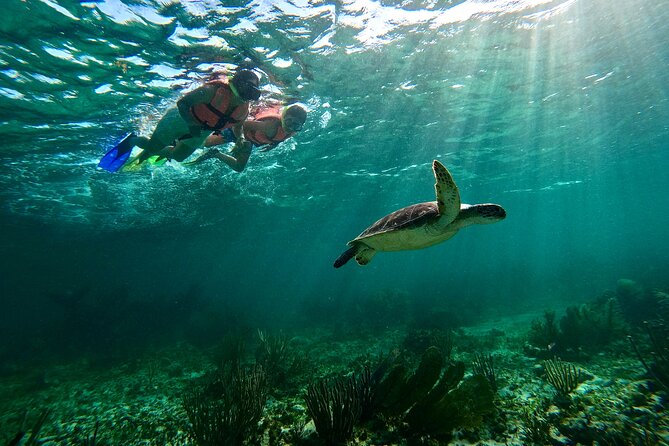 Snorkeling Guided Activity in Puerto Morelos Mexico - Two reef stops, not an all-day production