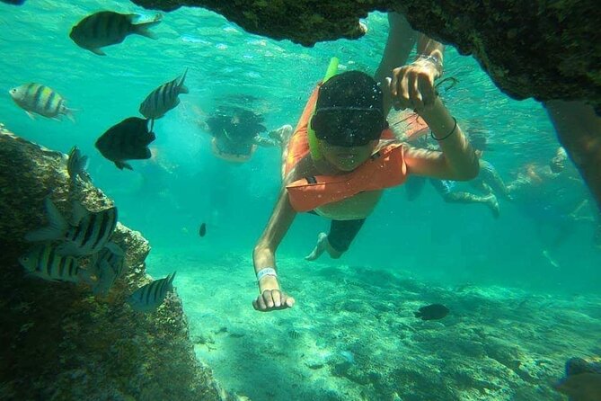 Snorkeling in Isla Mujeres and Underwater Museum - Lighthouse Reef: The First Test in the Water