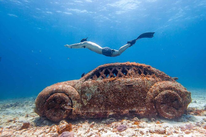 Snorkeling in Isla Mujeres and Underwater Museum - Tikin-Xic Fish at the Beach Club