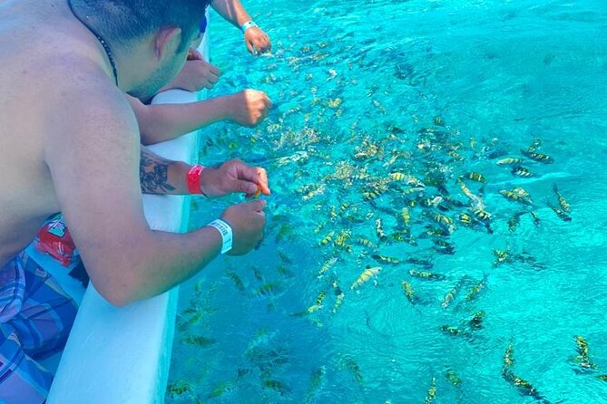 Snorkeling in Isla Mujeres and Underwater Museum - Who Should Book This Isla Mujeres Snorkel Trip?