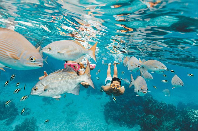 Snorkeling in Puerto Morelos - Timing, Sun Protection, and Reef Rules
