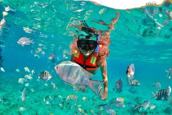 Snorkeling tour Express in Cancun with Certified Guide - What the small group size means