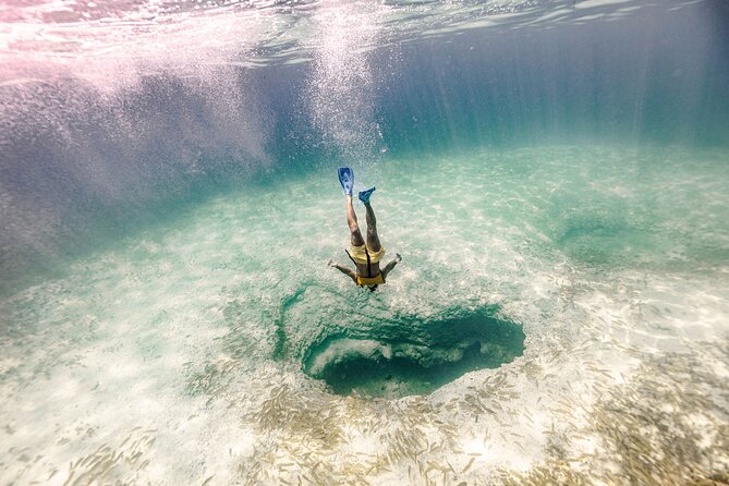 Snorkeling Tour with Turtles and Stingrays Puerto Morelos - Transport, pickup, and the meeting point