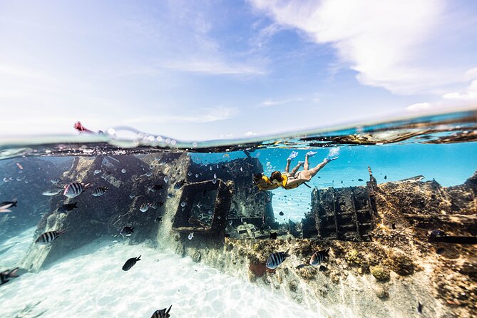 Snorkeling Tour with Turtles and Stingrays Puerto Morelos - Who will get the most from this tour