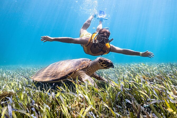 Snorkeling Tour with Turtles and Stingrays Puerto Morelos - Kay Club facilities make the outing easier