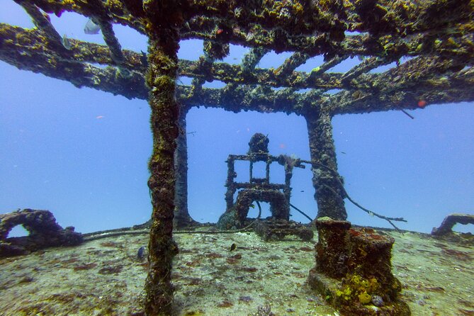 SPECIAL!! 2 Tank Wreck & Drift Reef dives - Why the 10-person limit matters