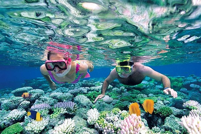 Special offer COMBO 2x1 (Tour to Isla Mujeres and Chichén Itzá ) for 1 price! - Pickup, group size, and the pace of the days