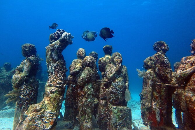 SPECIAL! Snorkel at MUSA - The Underwater Museum Reservation - What to bring and what to confirm