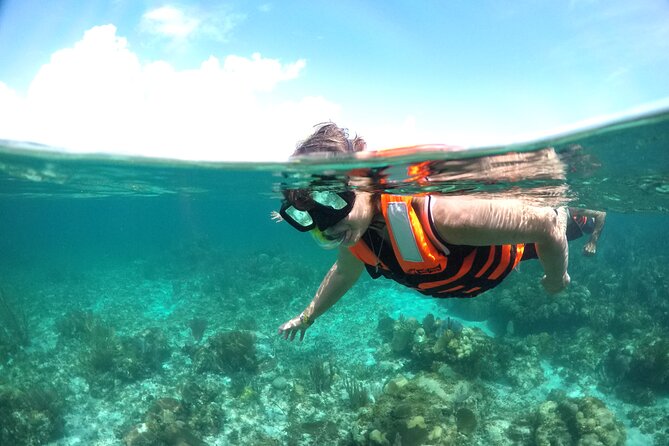 Speed boat aventure and snorkel - Who will enjoy this Cancun outing most