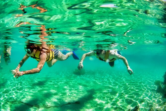Speedboat across the Mangroves & Snorkel with Jet Ski Rental - Booking and practical details