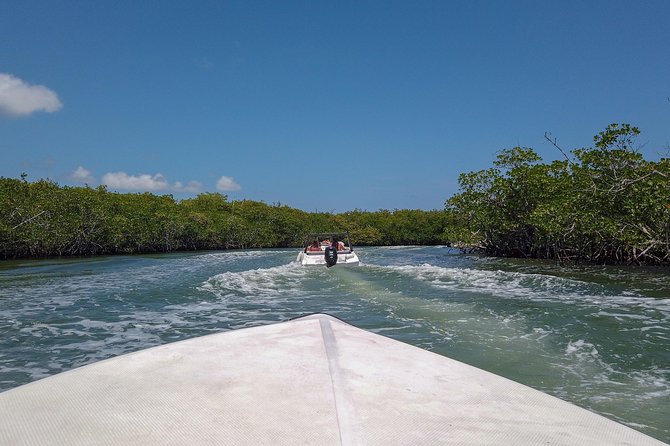 Speedboat and snorkel tour: Single Passenger Boat - What happens during the two-hour outing