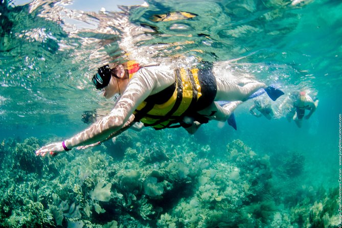Speedboat and snorkel tour: Single Passenger Boat - Who will enjoy this most