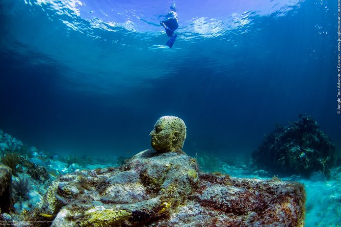 Speedboat and snorkel tour: Single Passenger Boat - The best way to prepare