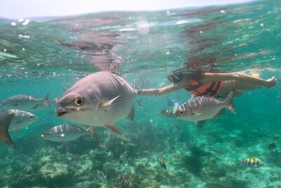 Speedboat and Snorkeling in Cancun with Mayan Ceremony & Tasting