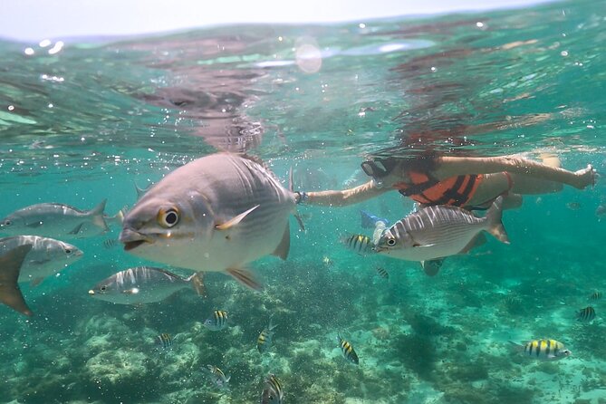 Speedboat and Snorkeling in Cancun with Mayan Ceremony & Tasting - Starting at Puerto Maya Cancun
