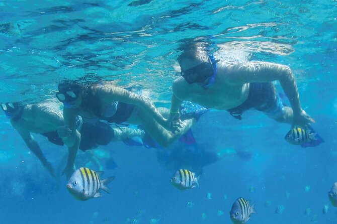Speedboat Excursion: Thrilling Drive & Snorkel in Cancun Lagoon! - How the experience feels for couples and families