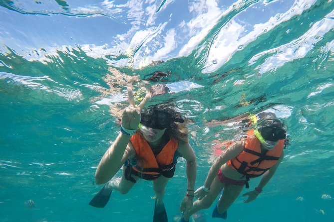 Speedboat jungle tour and snorkel - The real price is higher than $15