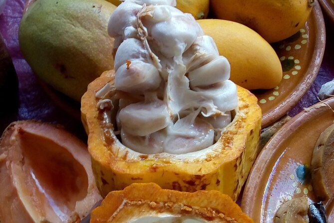 Steps Full of Flavor, Cancun Foodie & Market Tour - Walking through downtown Cancun