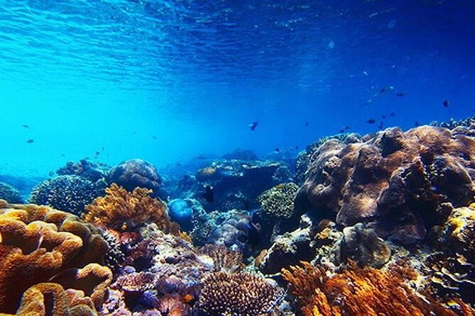 Subsea Subsee - Why families and non-swimmers may like it