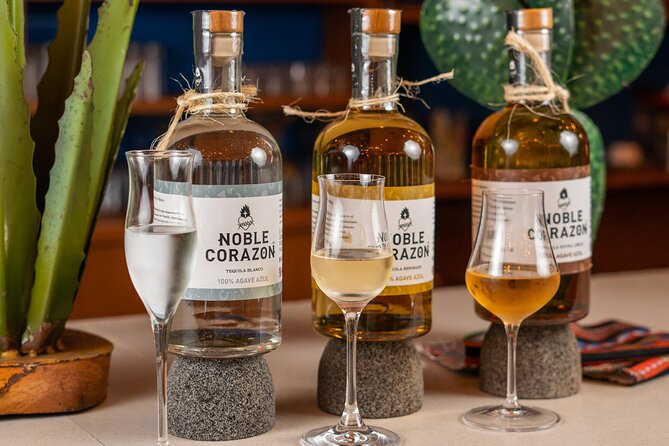 Tequila Tasting and Mixology Experience in Cancun - A tequila class beside Nichupté Lagoon