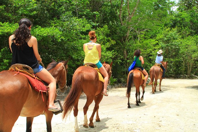 The best ATVs, zipline, cenote tour with lunch and transportation - Lunch, drinks, and the cash question