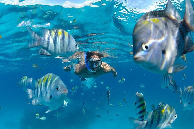 The Best Catamaran Tour to Isla Mujeres from Cancún - Free time to explore Isla Mujeres