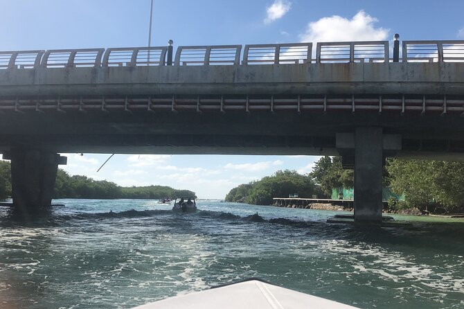 The Best Speedboat Tour In Cancun through Nichupte Lagoon, Snorkel included. - The real price: $55 plus the lagoon charge