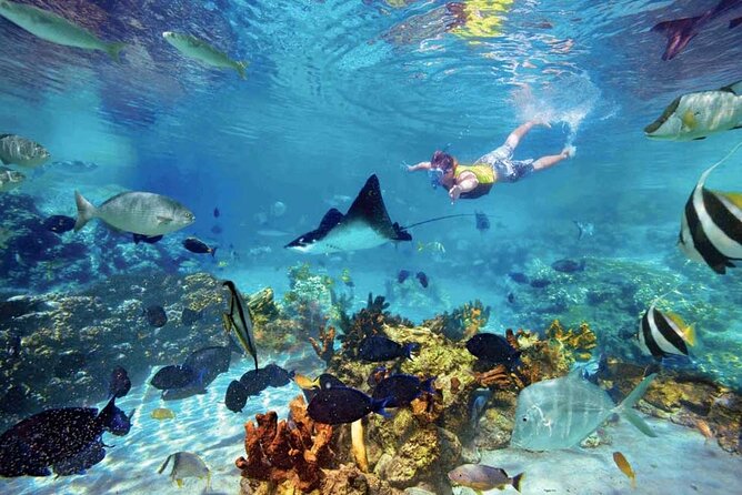 The great snorkeling adventure at the Riviera Maya private tour - What the private vehicle adds