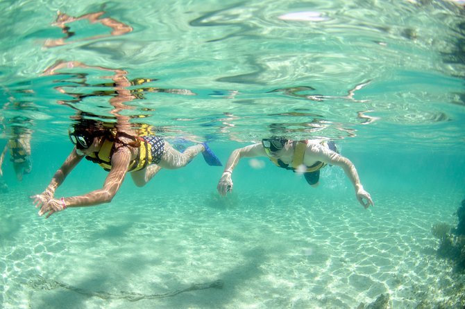 The most Intrepid Speedboat Adventure in Cancun Snorkel included - Facilities that help you fit in another activity