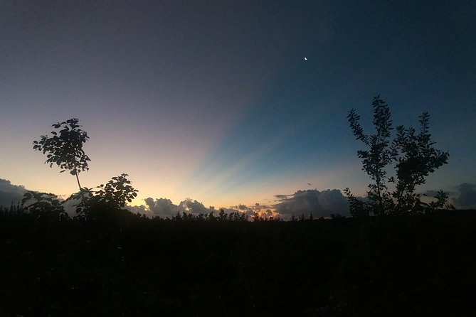 Tour Herpetologico - A different side of Puerto Morelos after sunset