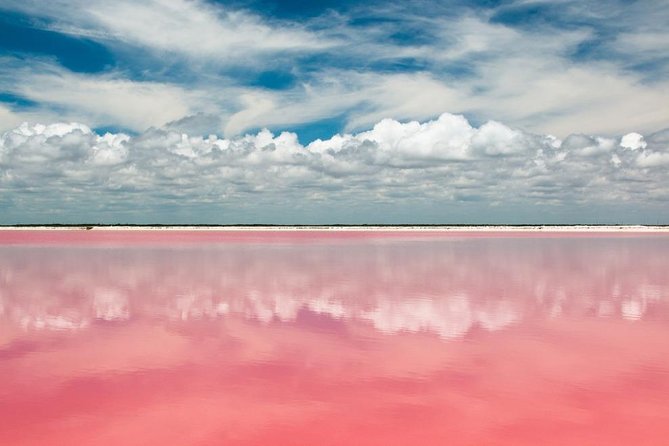 Tour to Las Coloradas Pink Waters and Boat Ride in Rio Lagartos with Lunch. - Rio Lagartos by Boat: Birds, Canals, and Crocodile Luck