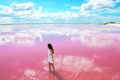 Tour to Las Coloradas Pink Waters and Boat Ride in Rio Lagartos with Lunch.