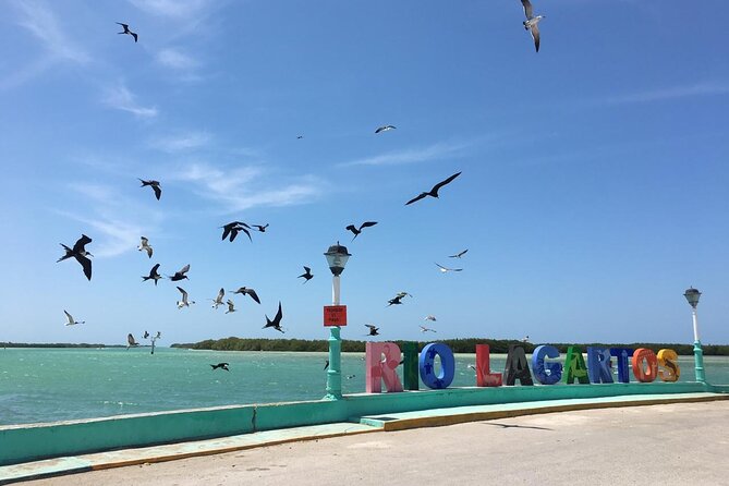 Tour to Las Coloradas Pink Waters and Boat Ride in Rio Lagartos with Lunch. - Booking Timing, Weather, and Cancellation