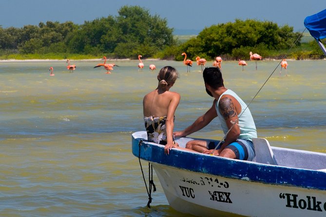 Tour to Las Coloradas Pink Waters and Boat Ride in Rio Lagartos with Lunch. - Should You Book the Las Coloradas and Rio Lagartos Tour?