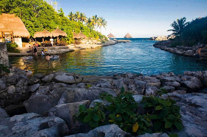 Tour Xcaret All inclusive from Cancun (Transportation included) - Lunch, drinks, and the real value of $235